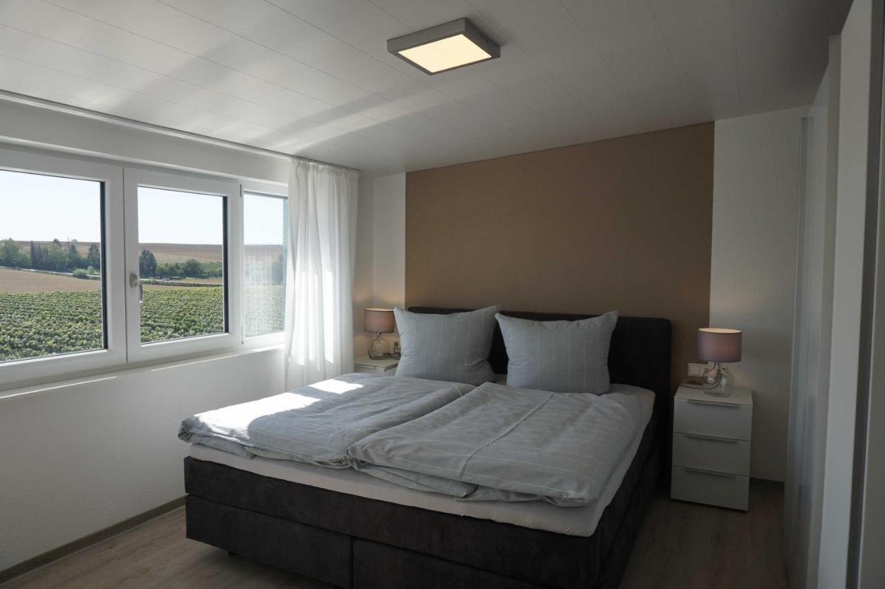 Weingut Schaaf Apartment Lauffen am Neckar Luaran gambar