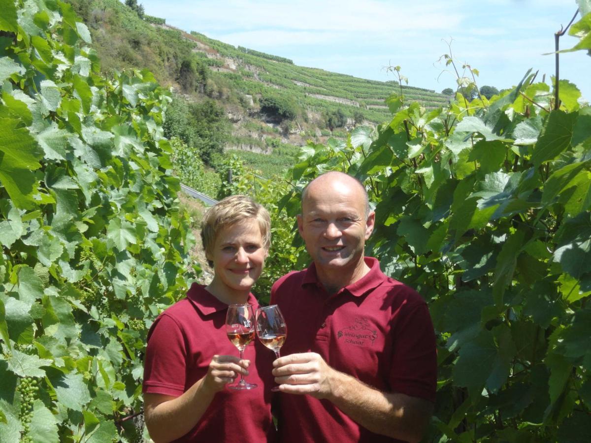 Weingut Schaaf Apartment Lauffen am Neckar Luaran gambar